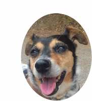 photo de profil de CLAUDE