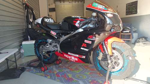 photo de profil de Rastafaright